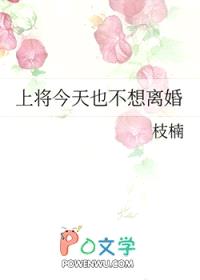 上将今天也不想离婚